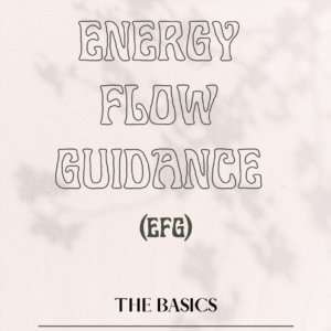 ENERGY FLOW GUIDANCE: "THE BASICS"